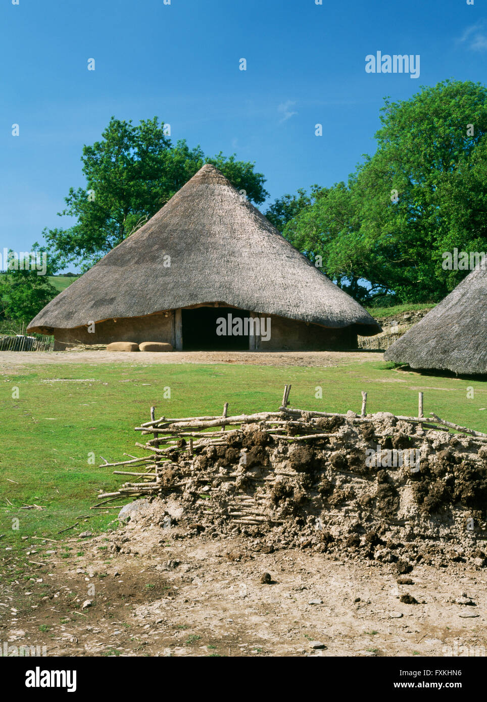Reconstructed roundhouse 6 at Castell Henllys defended settlement occupied during the Late Bronze Age & Iron Age c 1000BC-AD60. Stock Photo