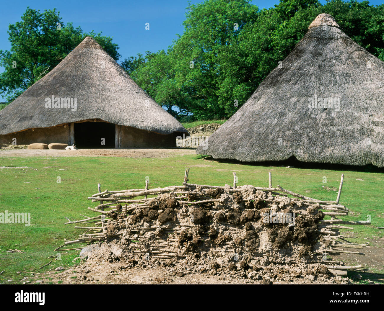 Reconstructed roundhouses 6 (L) & 2 (R) at Castell Henllys defended settlement, Pembrokeshire, occupied during the Late Bronze Age & Iron Age. Stock Photo