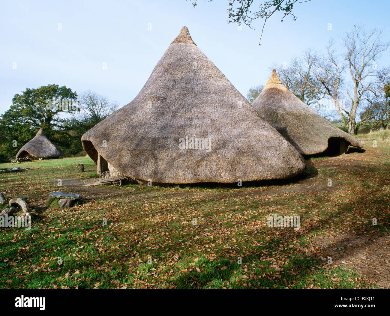 Reconstructed roundhouses 1 & 2, & a four-poster structure (rear L) at Castell Henllys defended settlement, Pembrokeshire, in use c 1000BC-AD60 Stock Photo