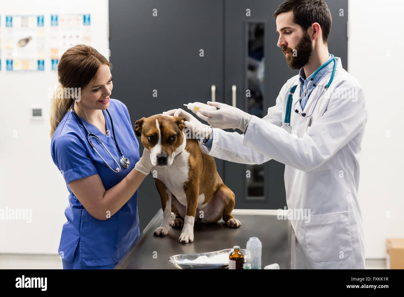 Can You Use Human Ear Drops On Dogs