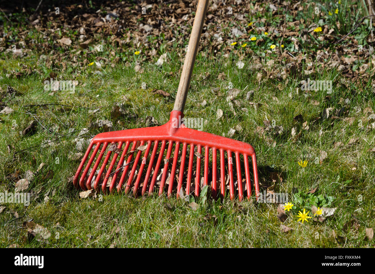 Green grass in yard spring hi-res stock photography and images - Alamy