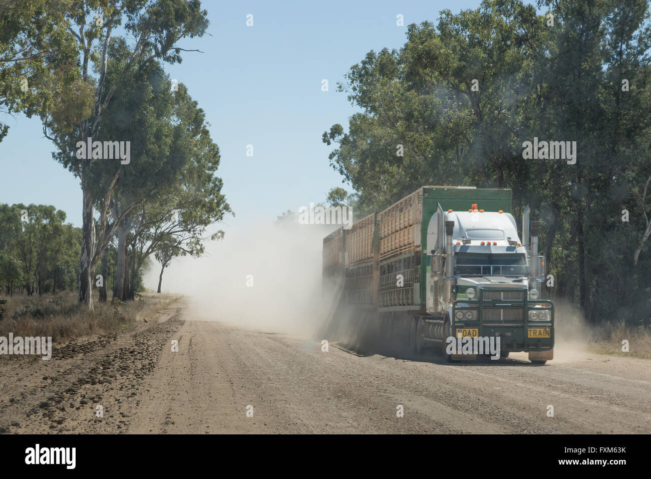 Semi-trailer road train truck carrying cattle driving on dusty unsealed outback road in Queensland, Australia Stock Photo