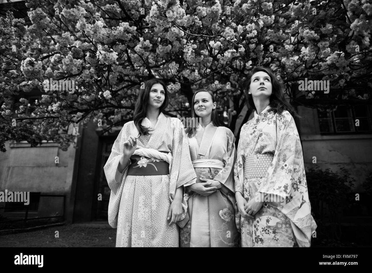 Three european girls wearing traditional japanese kimono background blossom pink sakura tree Stock Photo