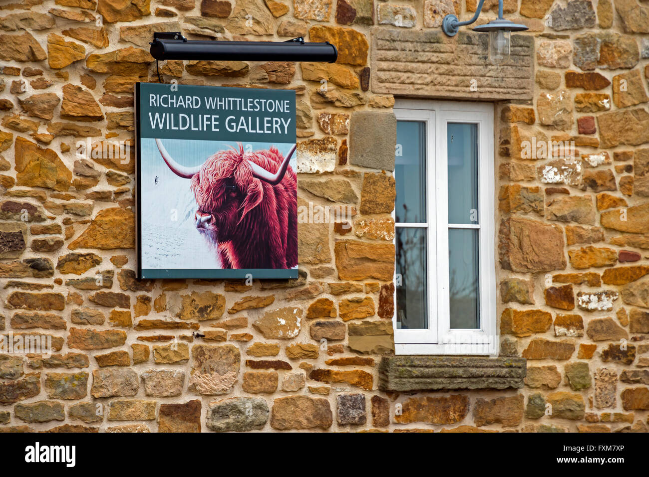 Richard Whittlestone Wildlife Gallery, Pilsley, Derbyshire Stock Photo