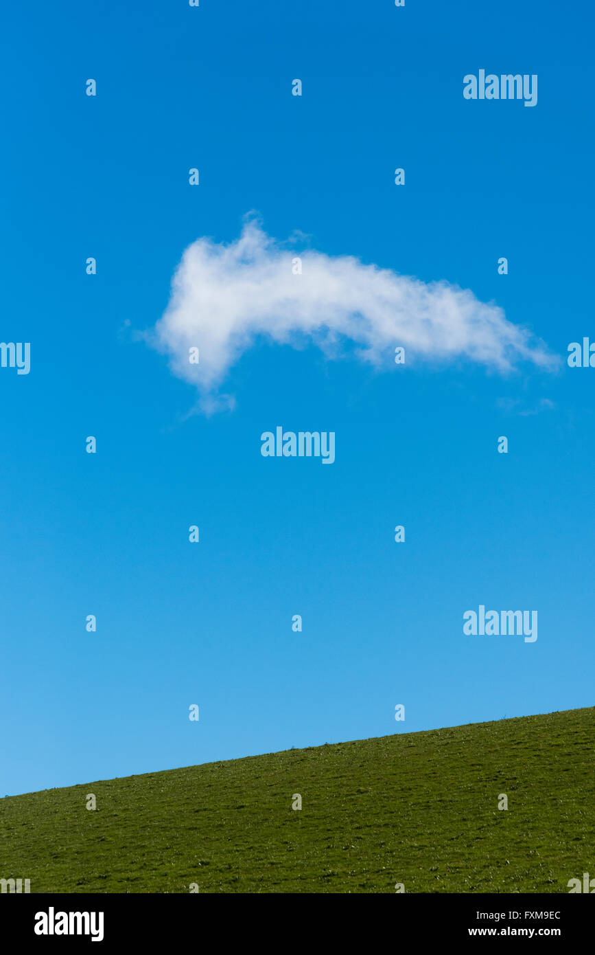A single white fluffy cloud on a blue sky above a green grass field in ...