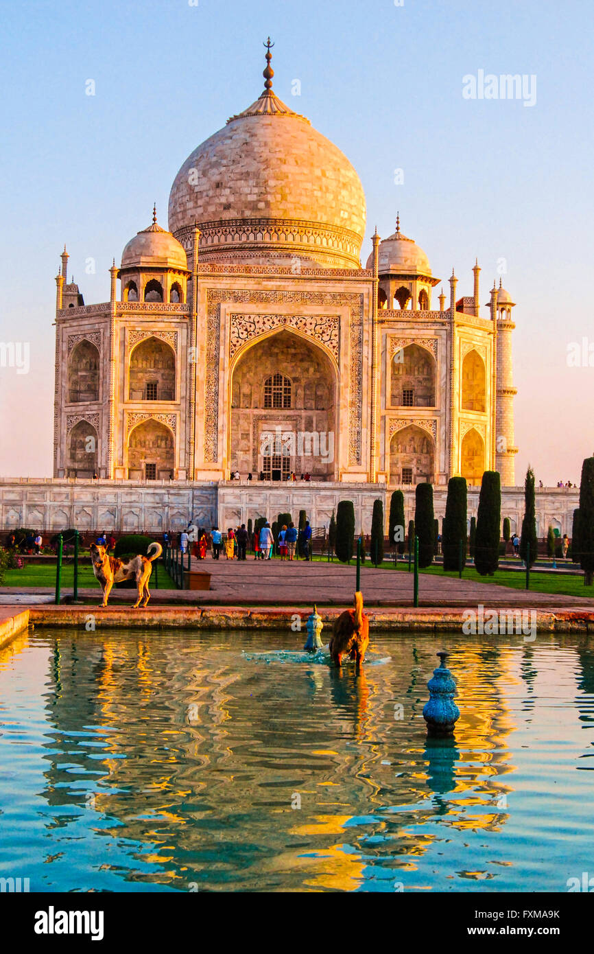 The Taj Mahal, Agra, Uttar Pradesh, India. Stock Photo