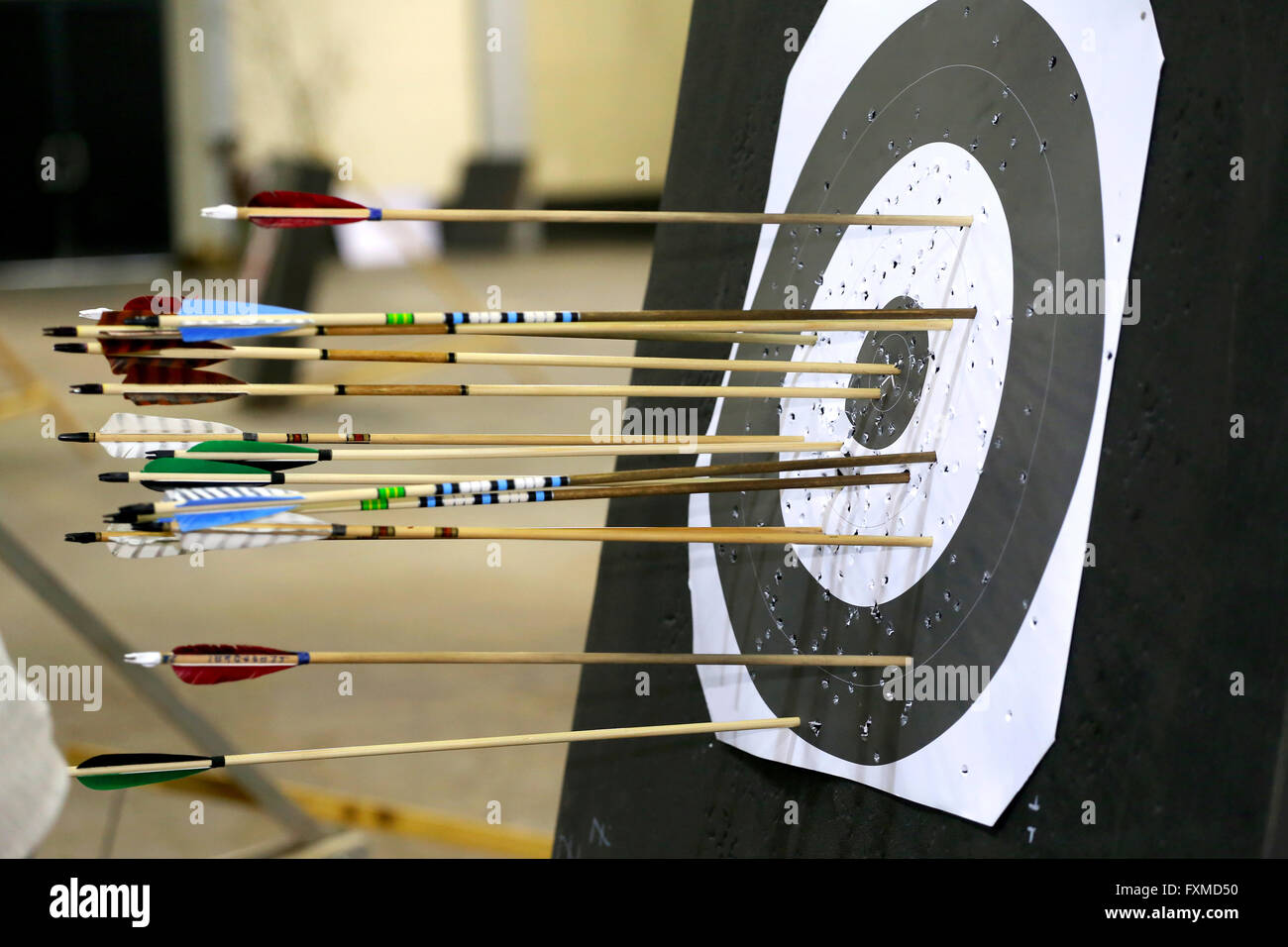 Targets at a bow shooting range with arrows in them Stock Photo Alamy