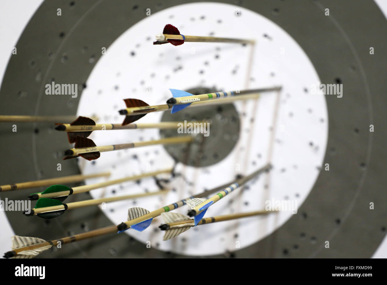 Targets at a bow shooting range with arrows in them Stock Photo Alamy