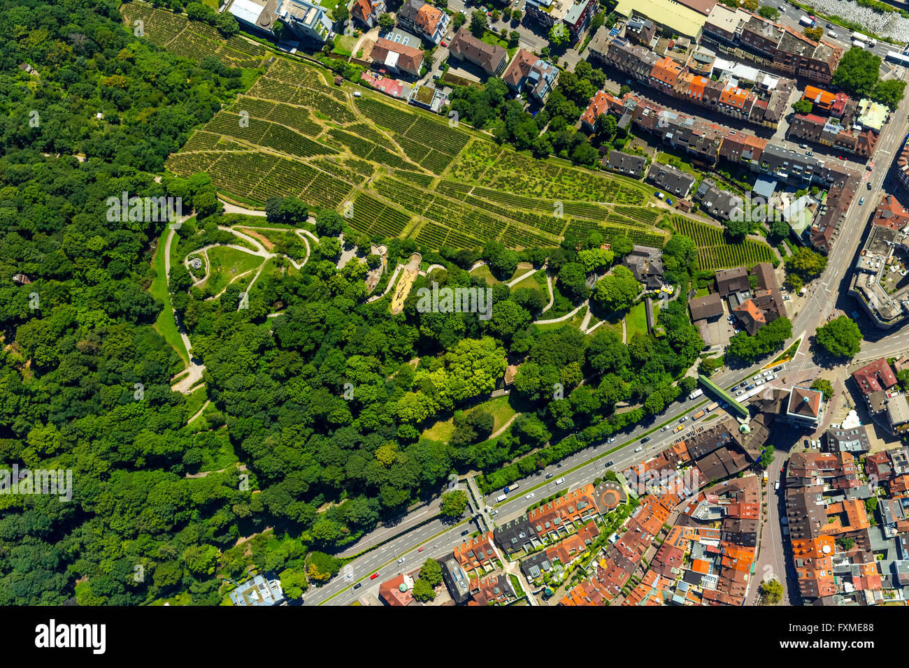 Aerial view, viticulture at the Freiburg Castle Hill in Oberau, Ludwigshöhe, Freiburg, Breisgau, Baden-Wurttemberg, Germany, Stock Photo