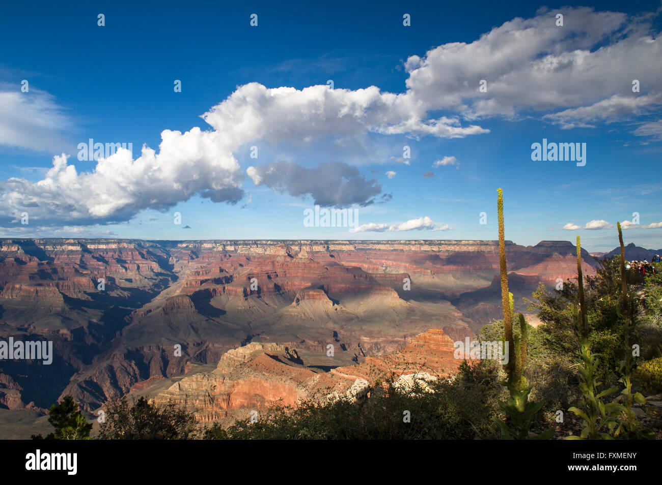 Grand Canyon National Park, Arizona, United States Stock Photo