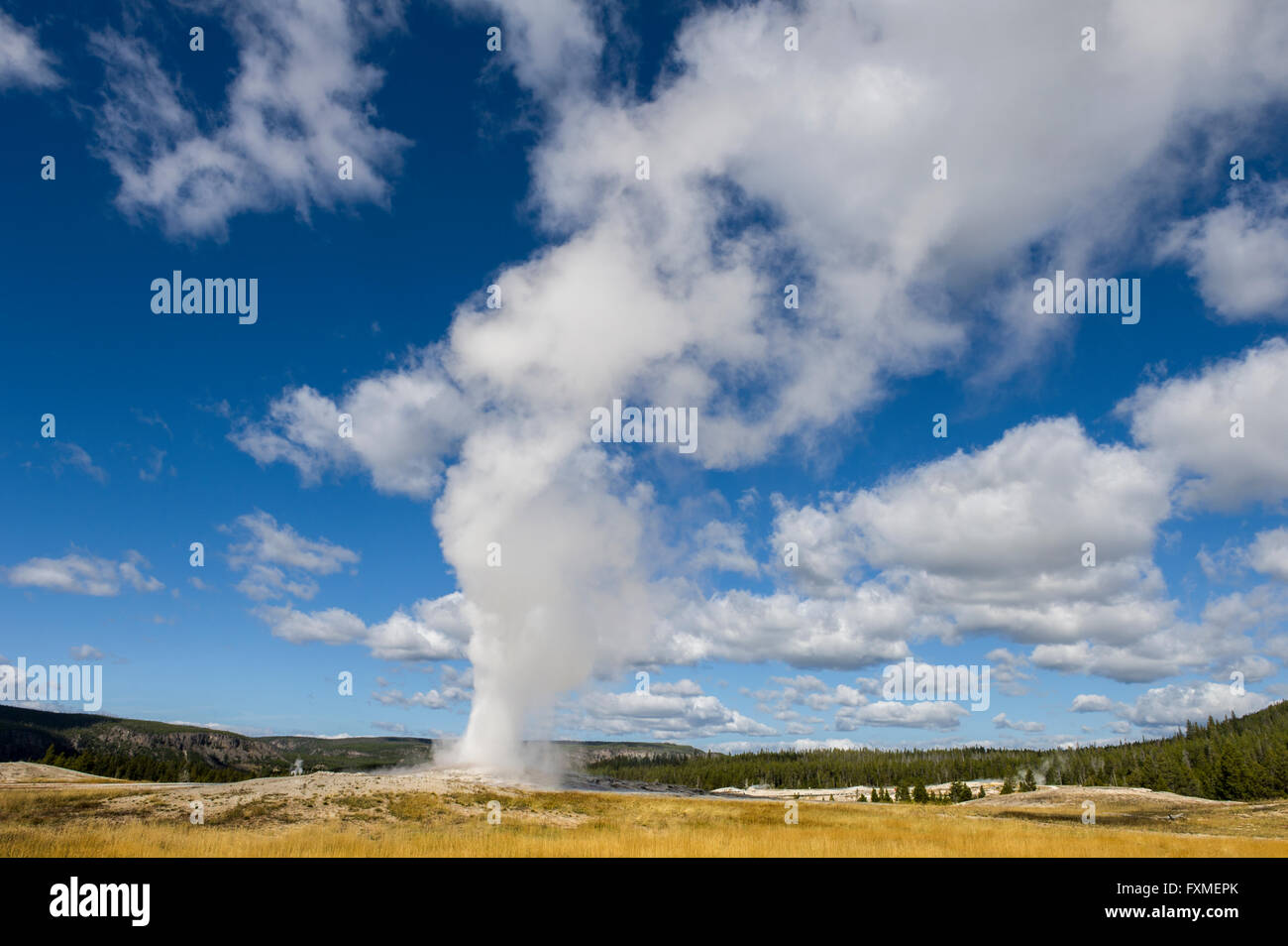 Yellowstone National Park, Wyoming, United States Stock Photo