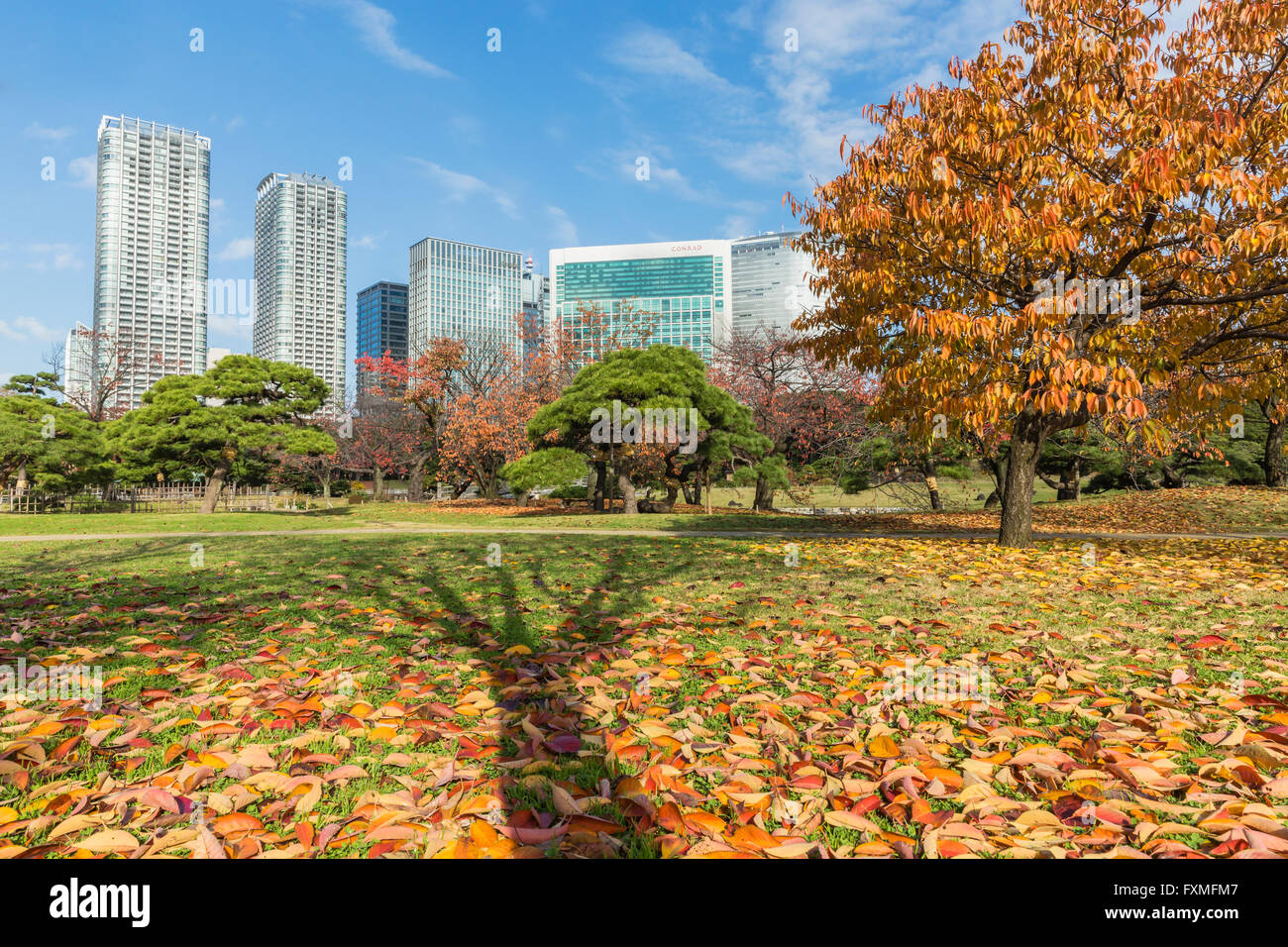 Hama-rikyu Gardens, Tokyo, Japan Stock Photo