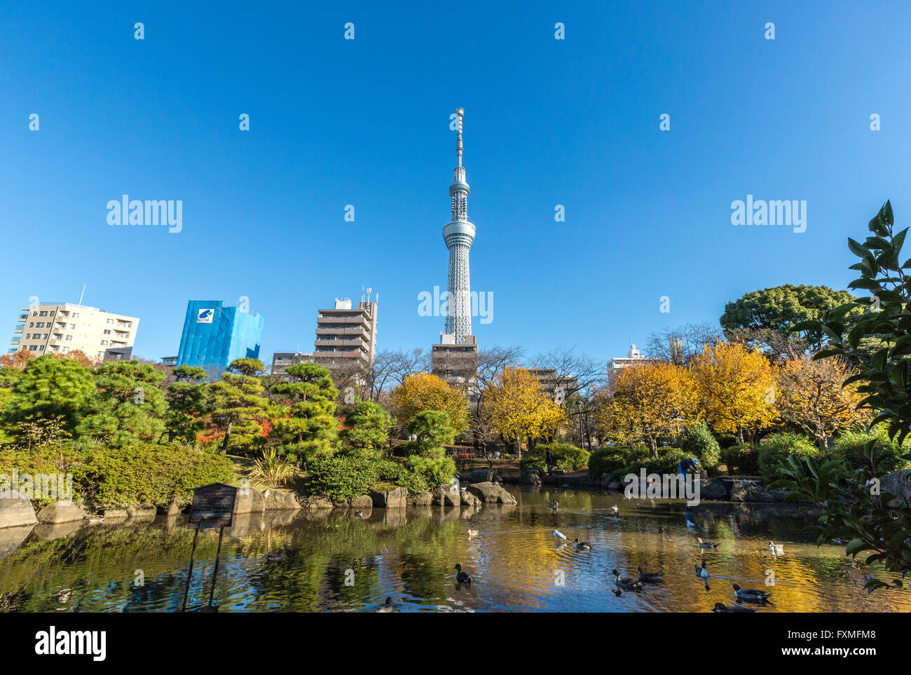 Sumida Park and Tokyo Sky Tree Stock Photo