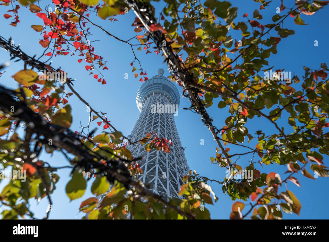 Tokyo Skytree Tower in Japan Stock Photo
