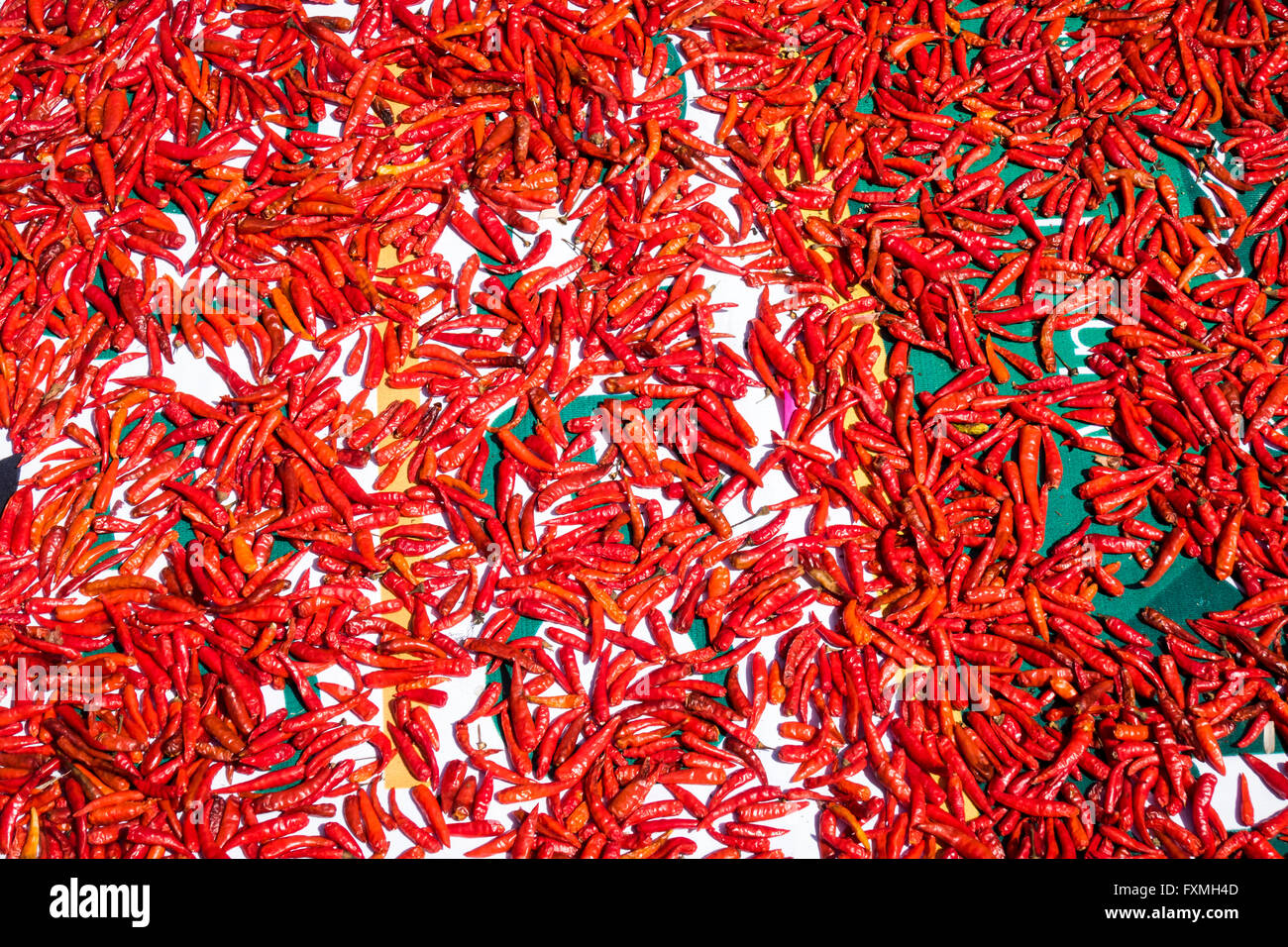 Sun Dried Chili Pepper, Ubud, Bali, Indonesia Stock Photo