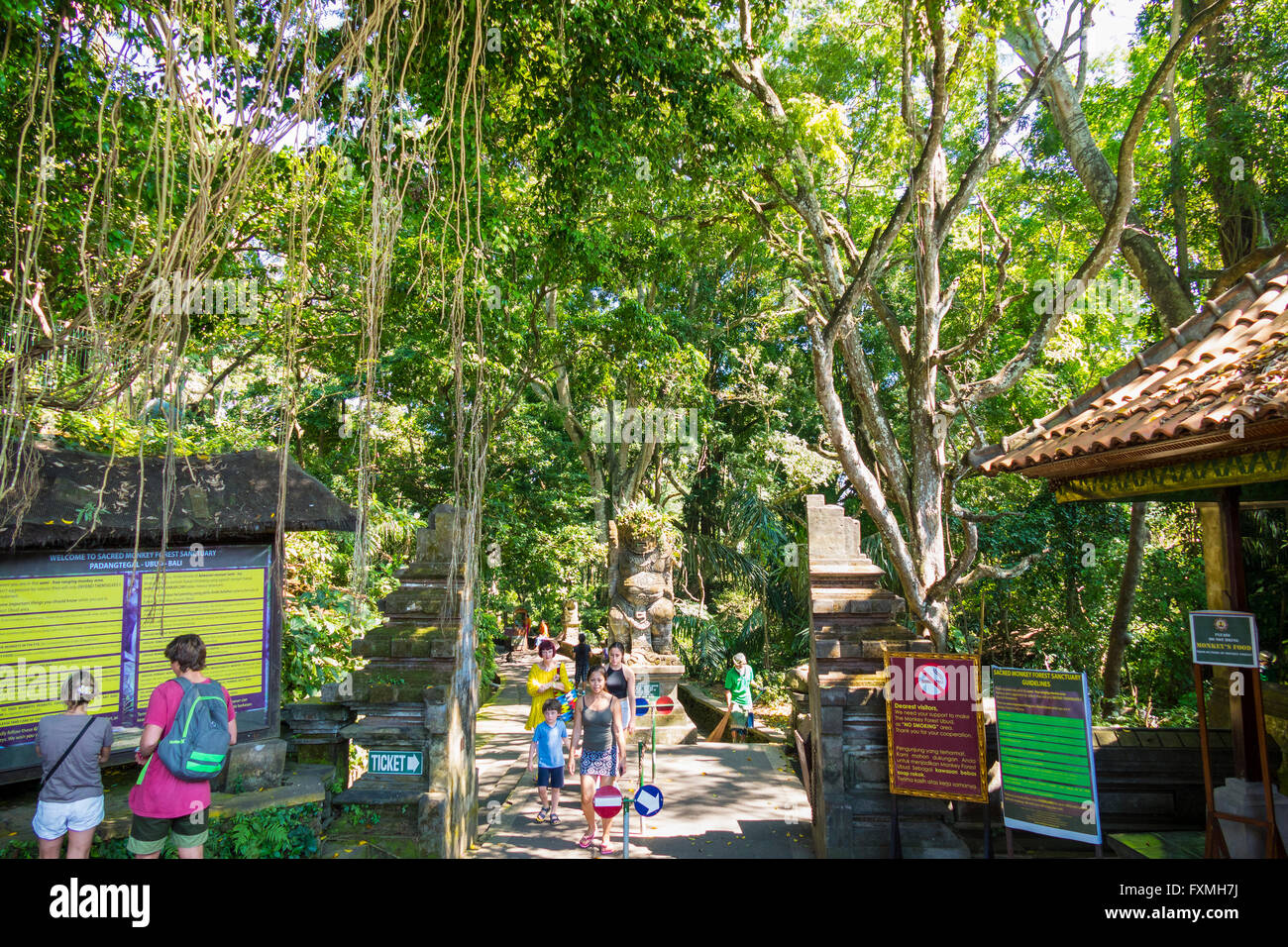 Monkey Forest, Ubud, Bali, Indonesia Stock Photo