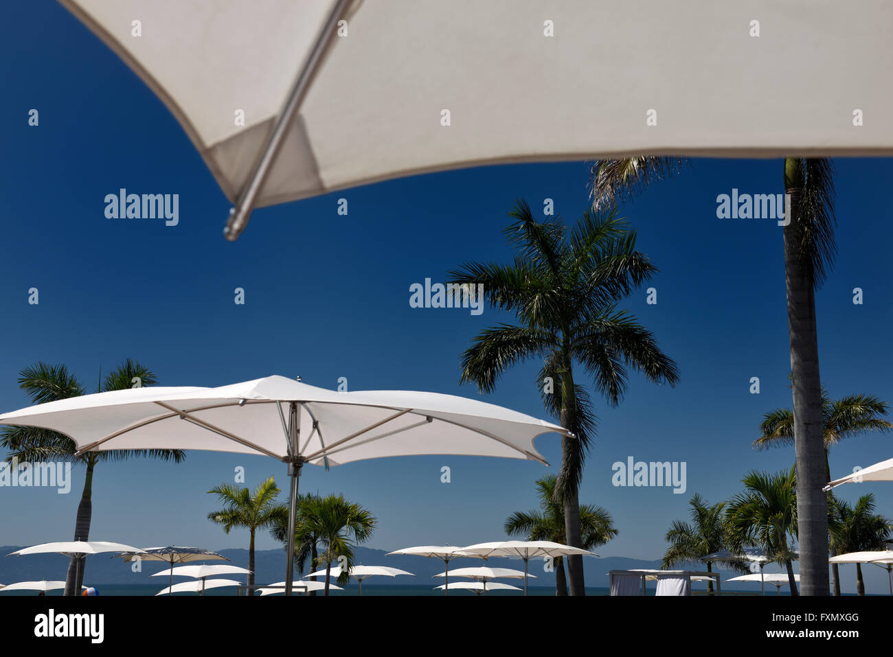 Resort pool umbrellas Nuevo Vallarta Mexico with Sierra Madre mountains and palm trees Stock Photo