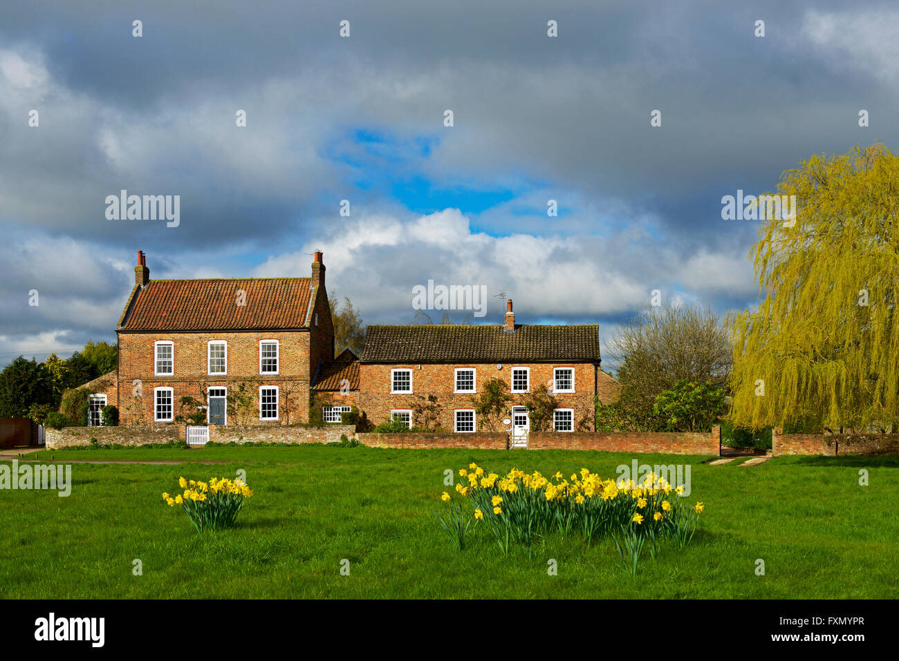 Cottages in the village of Nun Monkton, North Yorkshire, England UK