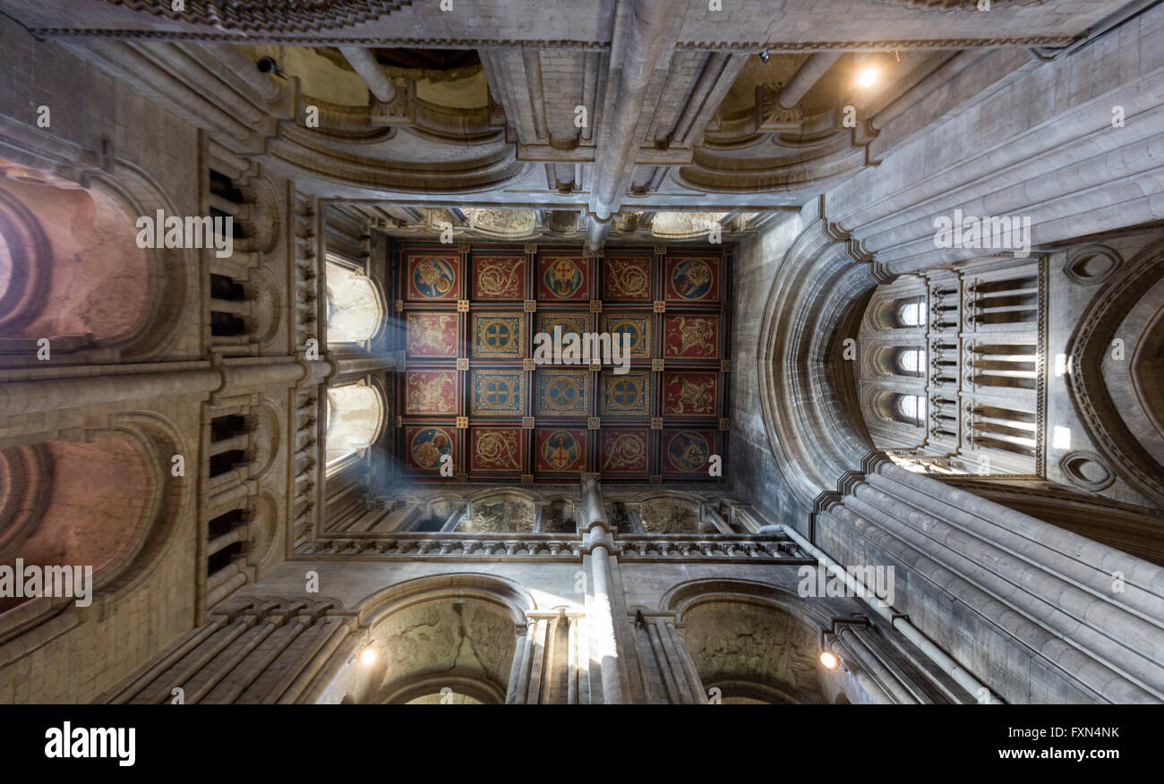 Ceiling inside south west transept, Ely Cathedral, Ely, Cambridgeshire, England, UK Stock Photo