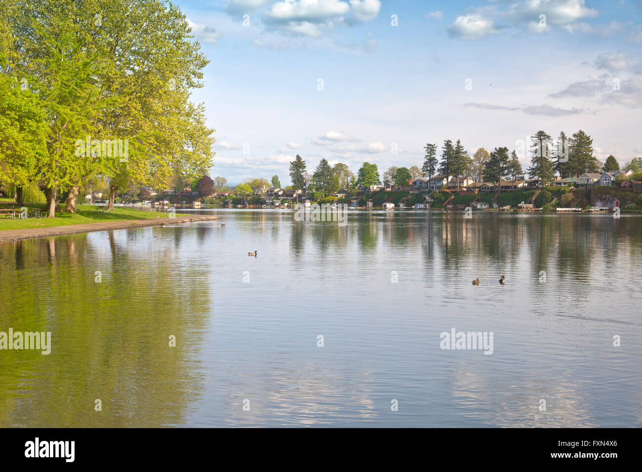 Blue lake park and lake front properties Oregon Stock Photo Alamy