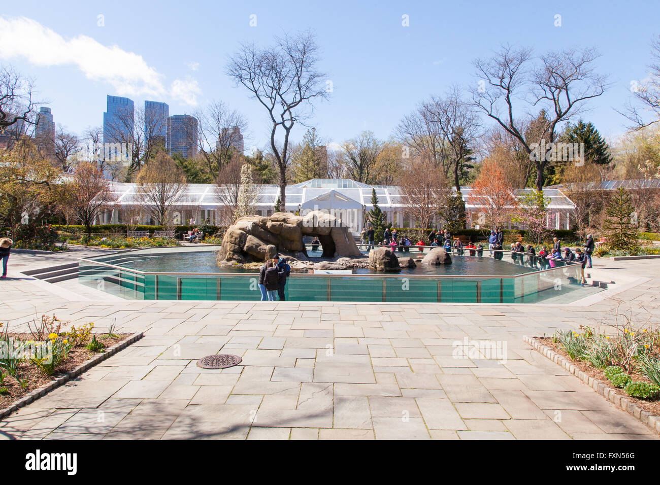 Seal Enclosure, Central Park Zoo, Manhattan, New York City, United