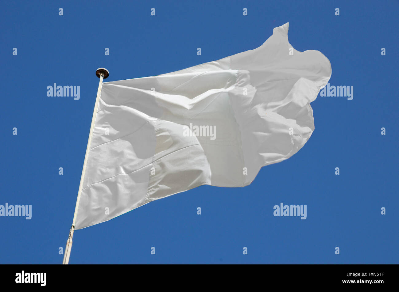 White flag flying in a stiff breeze against a clear blue sky. Stock Photo