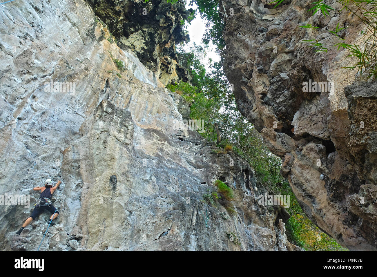 Female climber in a helmet climbing on lime stone on Railay Beach in Krabi province, Thailand. Stock Photo