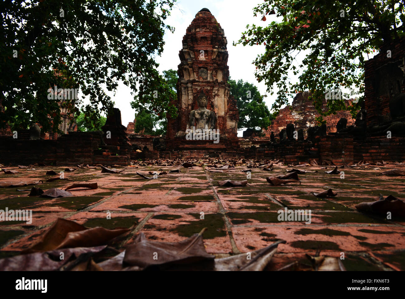Low angle shot at Wat Mahathat Stock Photo