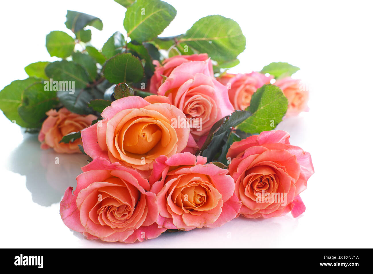 bouquet of pink roses Stock Photo - Alamy
