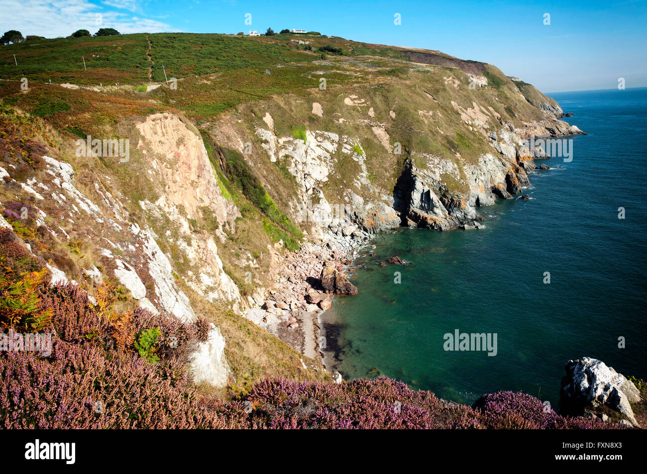 Cliffs of Howth peninsula, Dublin , Ireland Stock Photo Alamy