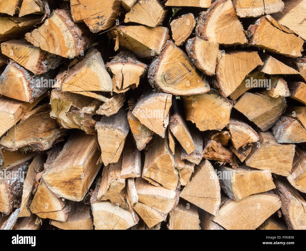 Drying splitted firewood in a stack Stock Photo