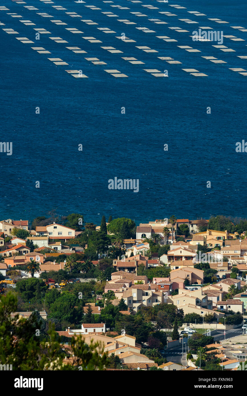 Sete france oysters hires stock photography and images Alamy