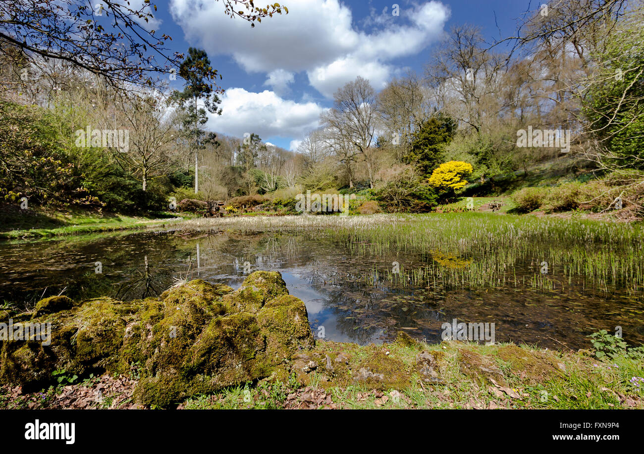 Lydney Park Estate Gloucestershire UK Stock Photo Alamy