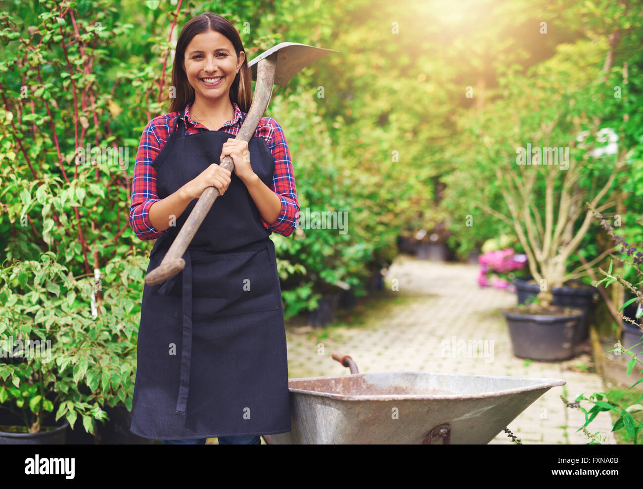 Happy young woman working at a commercial nursery holding a spade over her shoulder as she stands amongst the plants with a whee Stock Photo