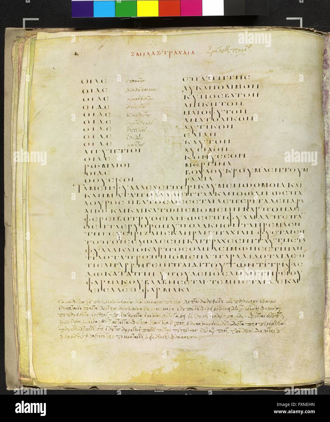 Cod. Med. gr. 1, fol. 124v: Wiener Dioskurides, Byzanz, um 512: Text zu Rauher Smilax Stock Photo