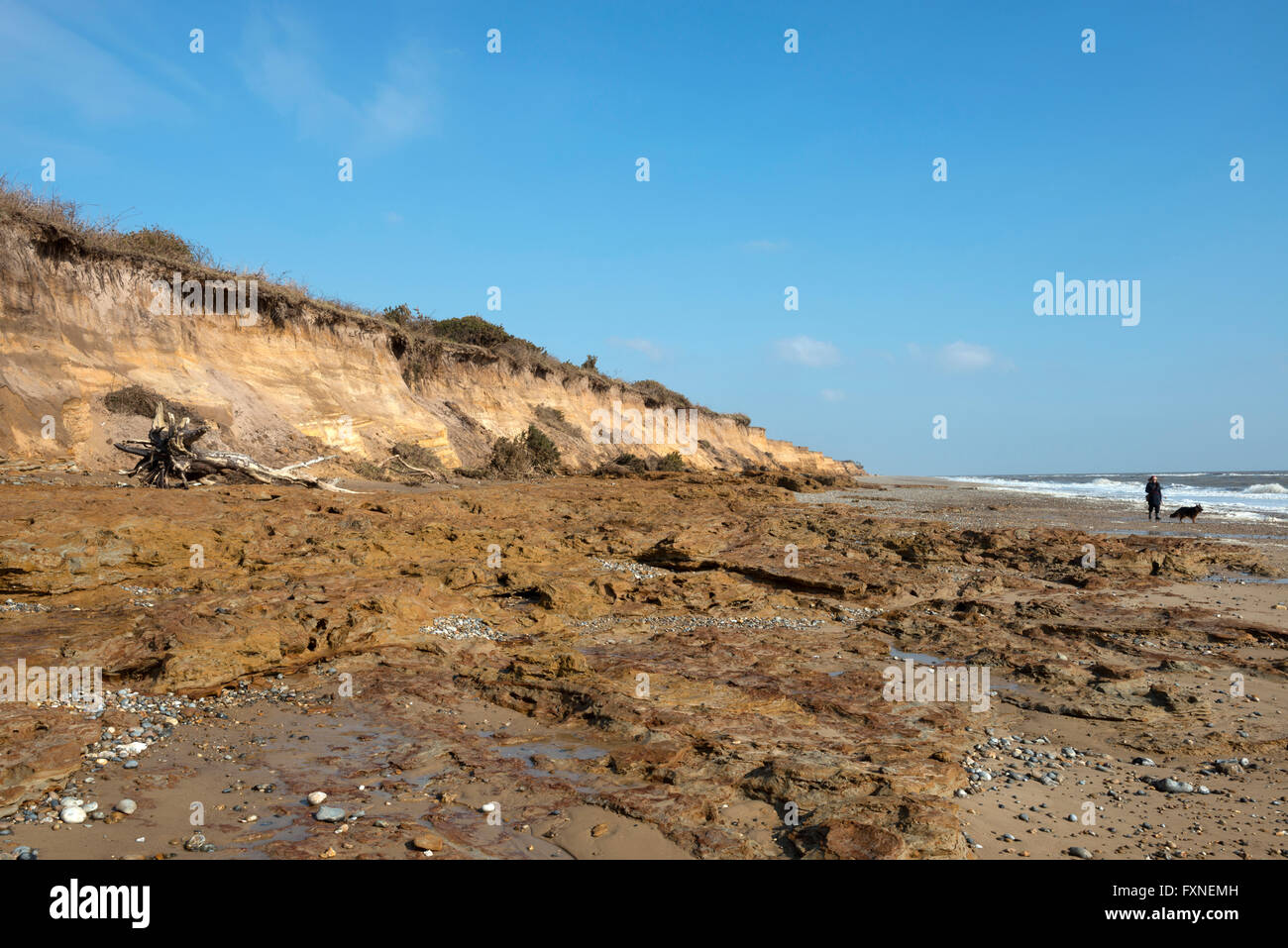 Coastal erosion Benacre Suffolk England Stock Photo - Alamy