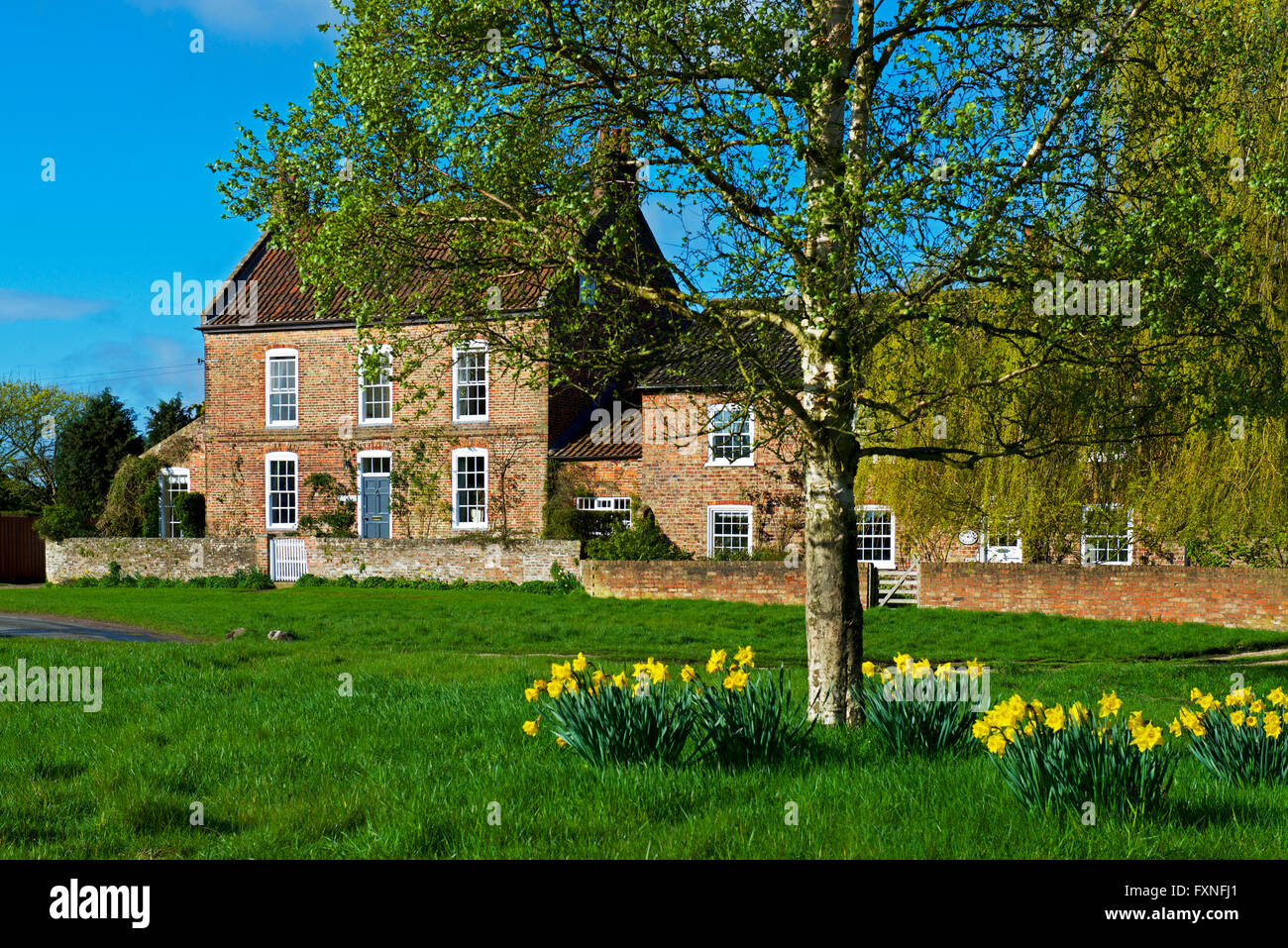 Cottages in the village of Nun Monkton, North Yorkshire, England UK