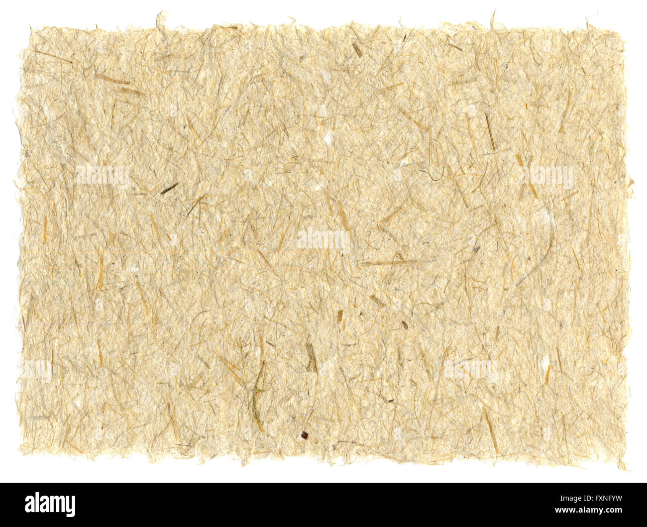 Sheet of handmade paper with plant fiber Stock Photo Alamy