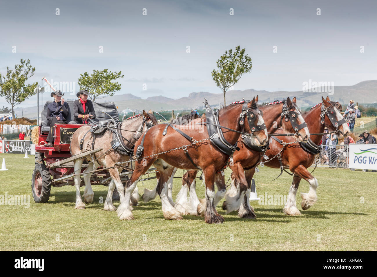 Horse pulling wagon hires stock photography and images Alamy