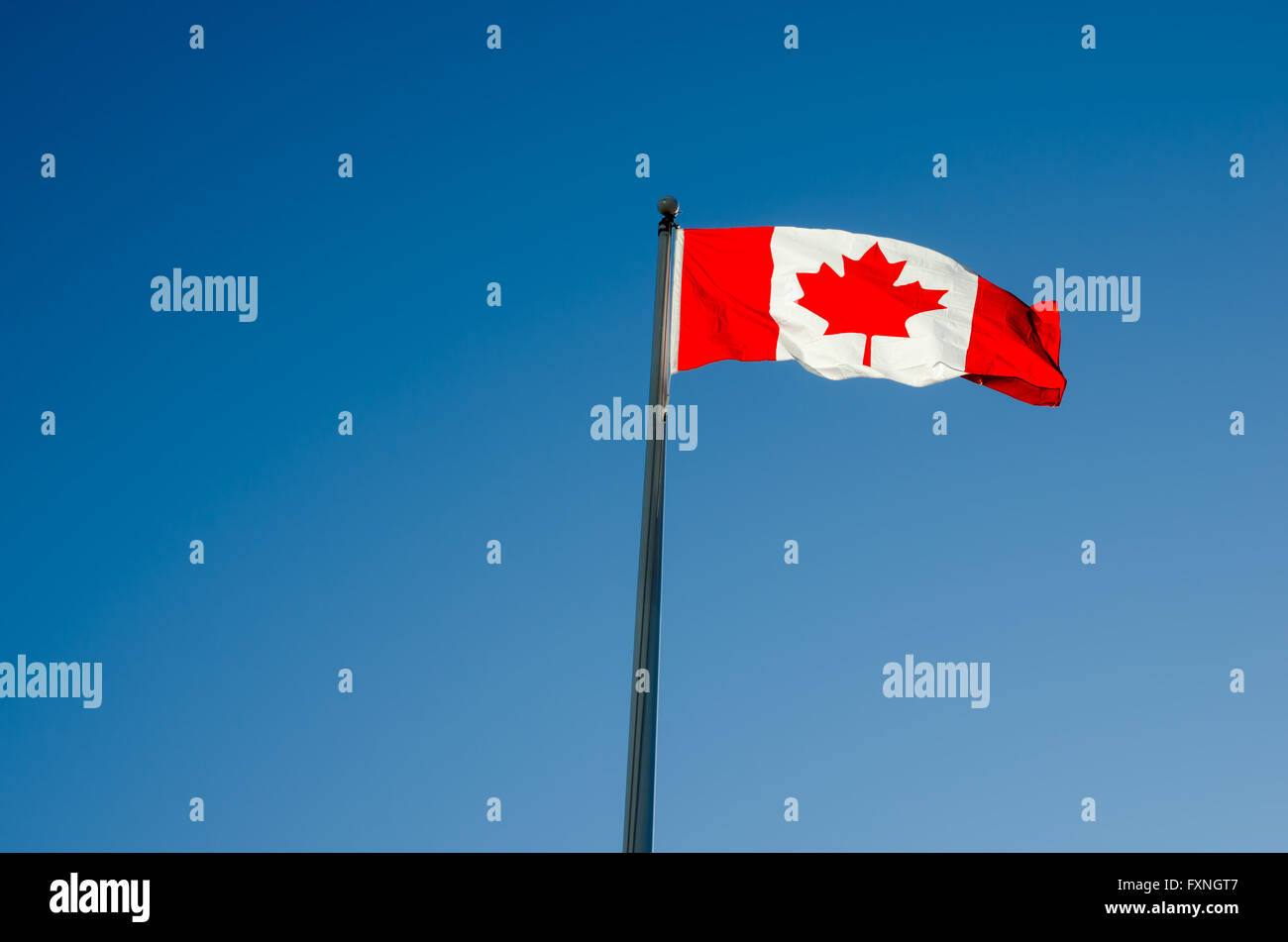Canadian flag waving over blue sky Stock Photo
