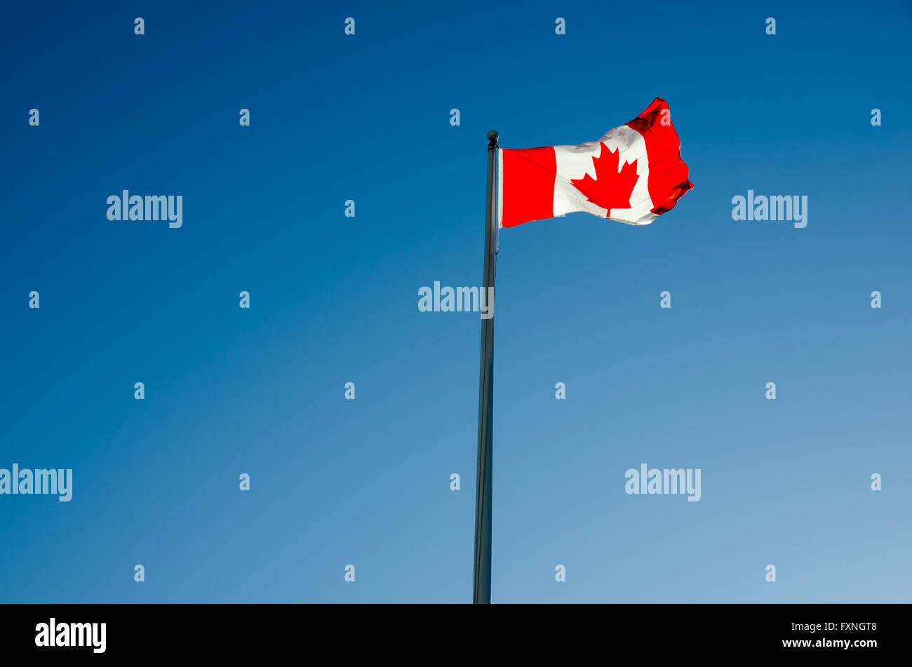 Canadian flag waving over blue sky Stock Photo