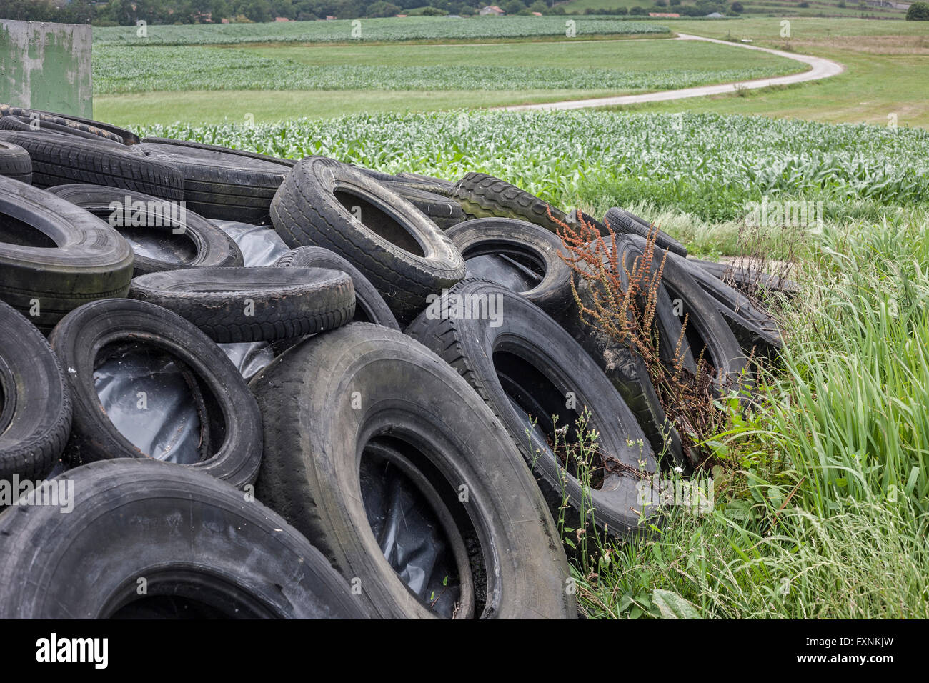 TIRES IN THE MIDDLE OF A COUNTRYSIDE Stock Photo Alamy
