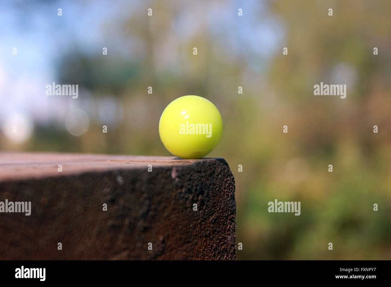 Paintball ammo closeup Stock Photo