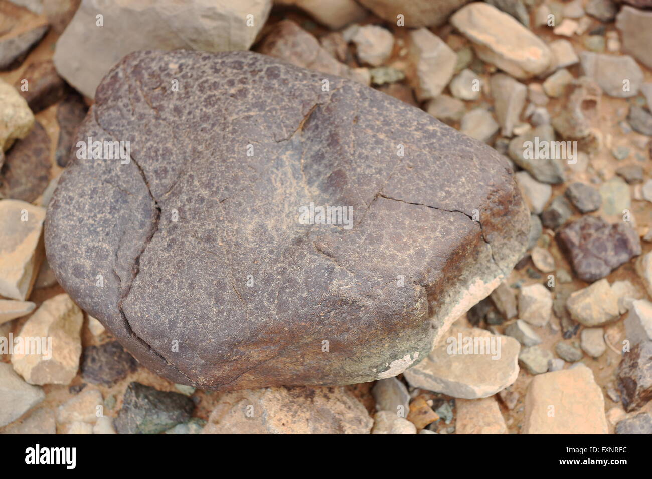 Curious volcanic rock on the floor over gravel and loose stone soil beside the dirt track linking Hamed Ale and Berahile-Danakil Stock Photo
