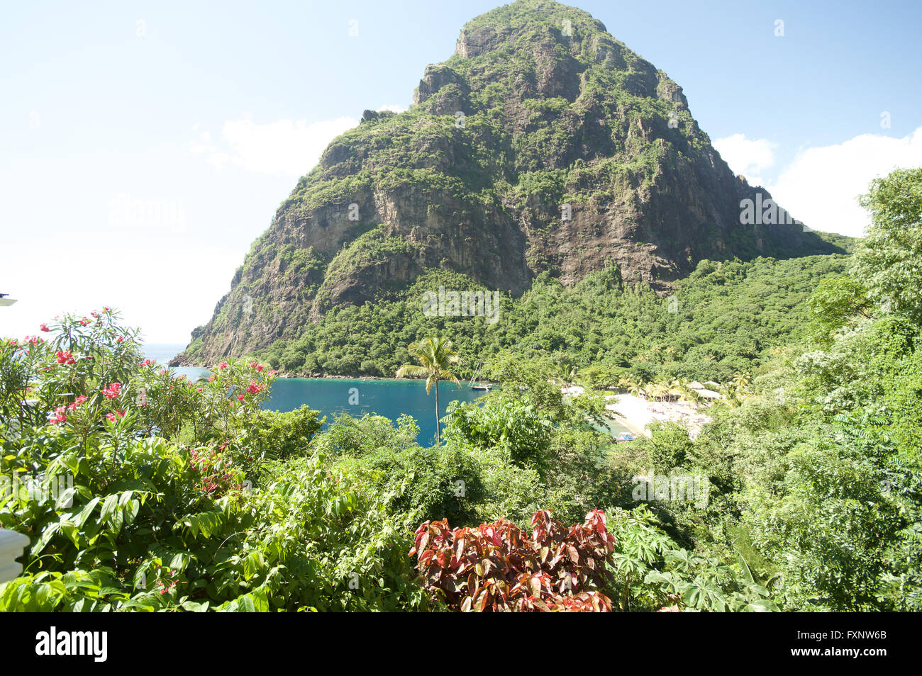 Petit Piton, St Lucia Stock Photo Alamy