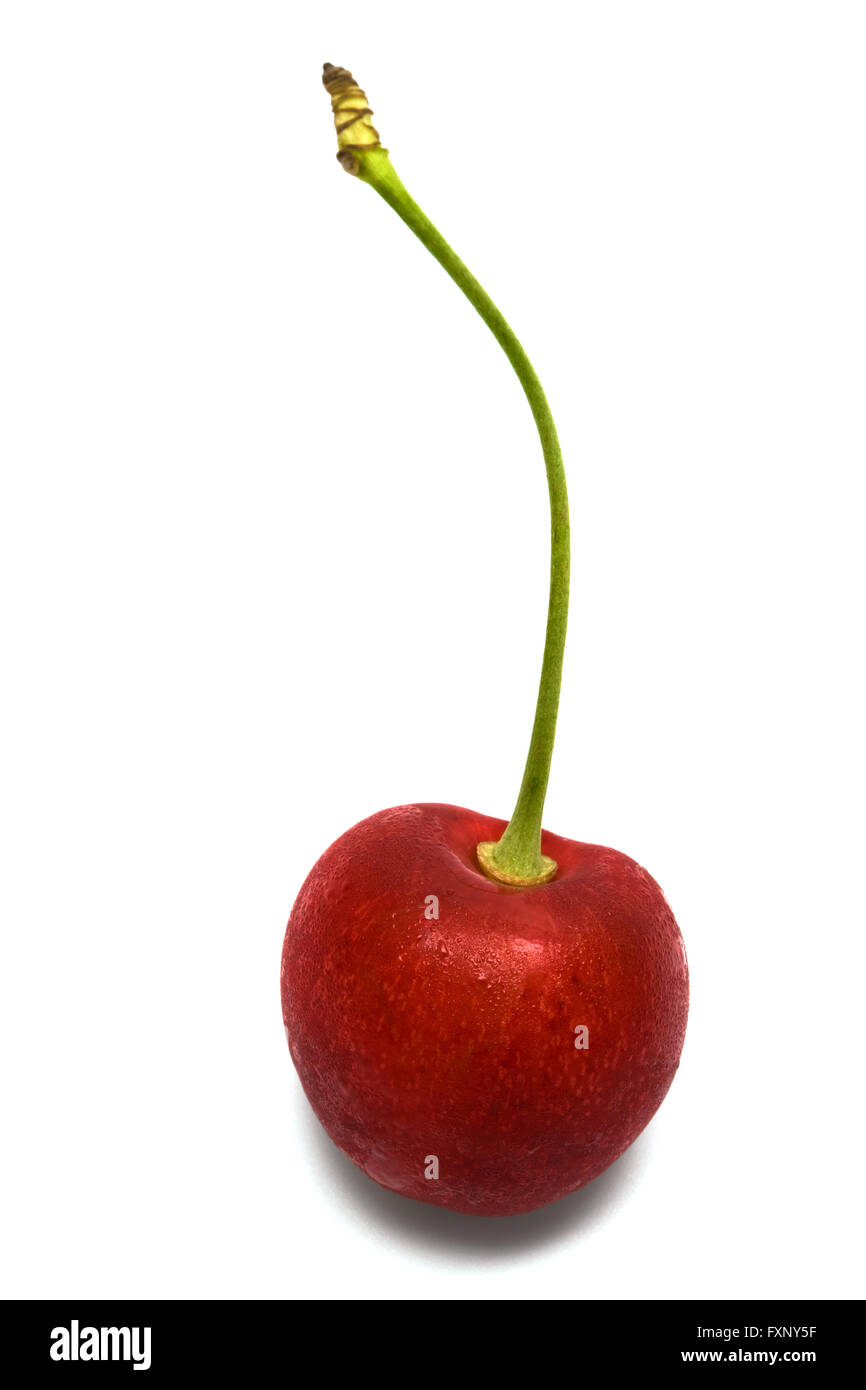 Ripe red cherry on a white background Stock Photo - Alamy