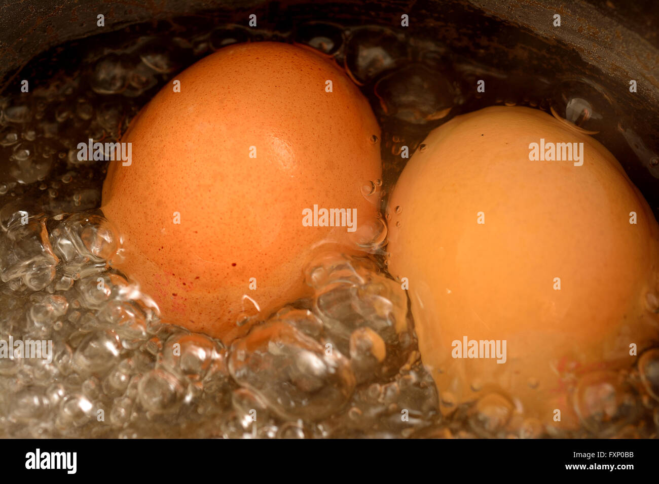 Eggs in boiling water Stock Photo Alamy