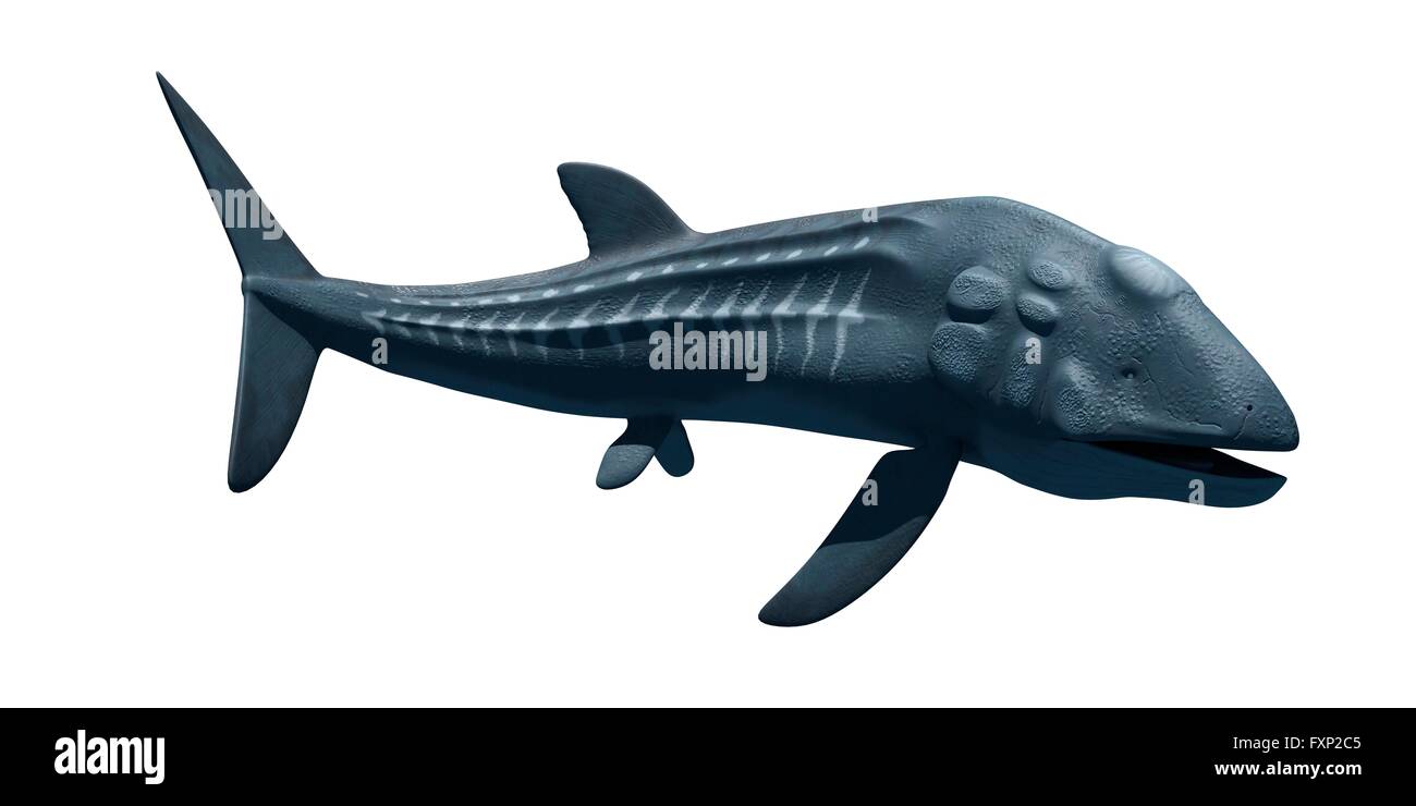 Prehistoric sea creature, computer illustration. Stock Photo