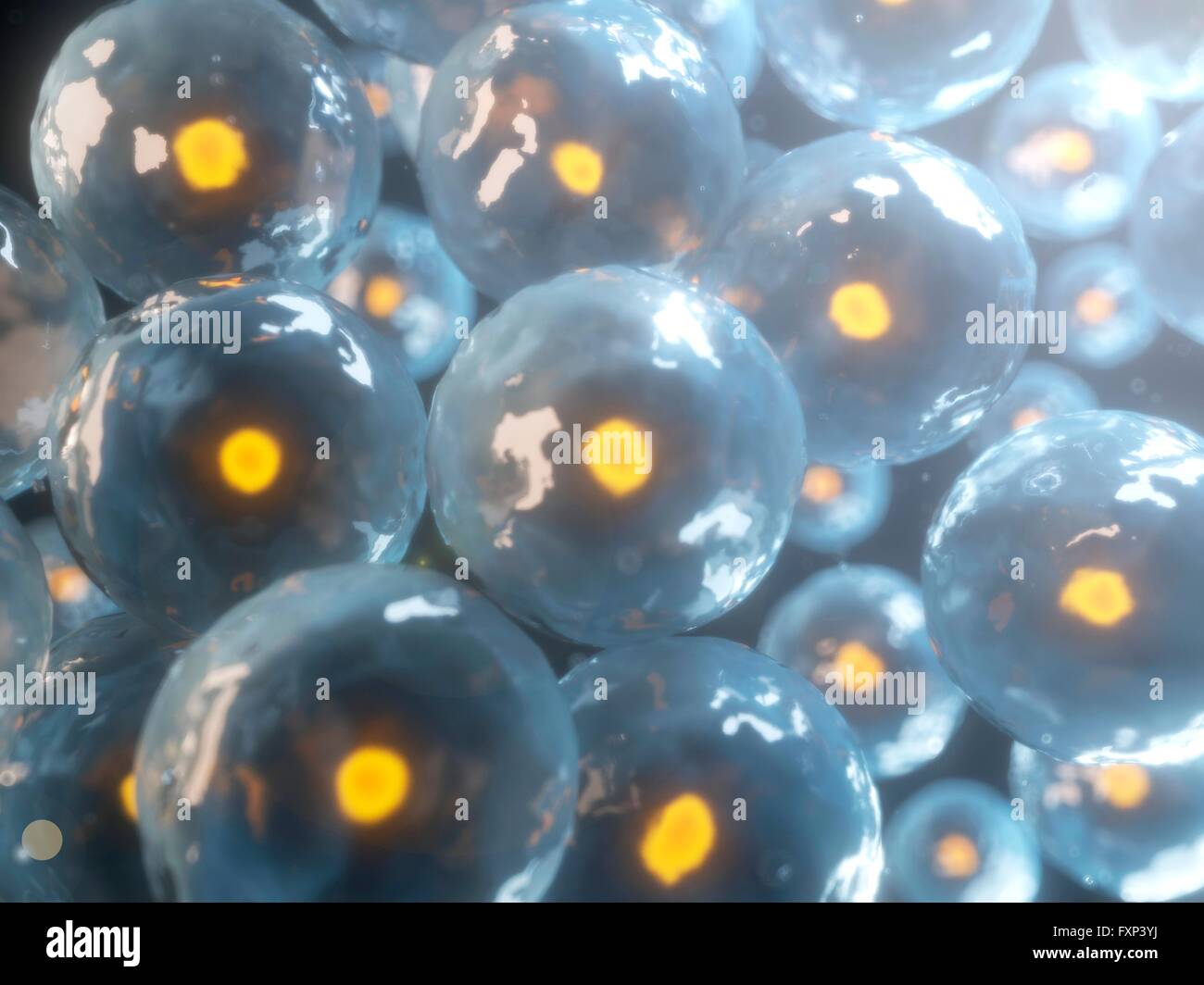 Human cells, computer illustration Stock Photo - Alamy