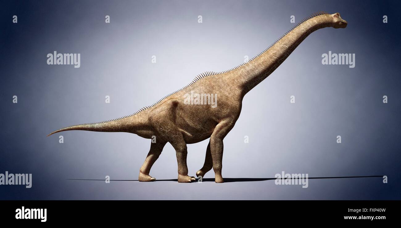 Brachiosaurus, computer illustration. Stock Photo